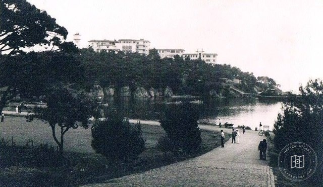 Heybeliada Çam Limanı