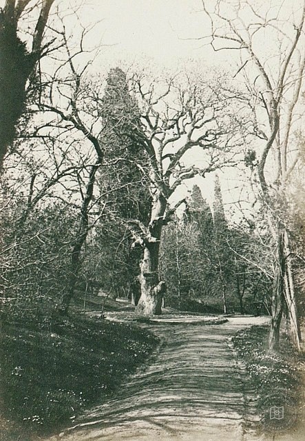 Yıldız Parkı · 1905