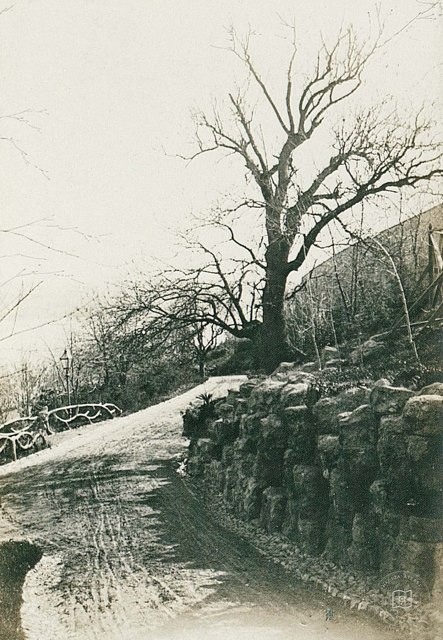 Yıldız Parkı · 1905
