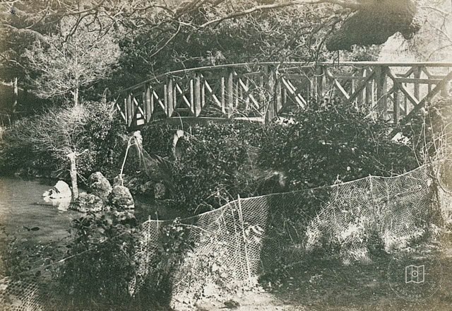 Yıldız Parkı · 1905