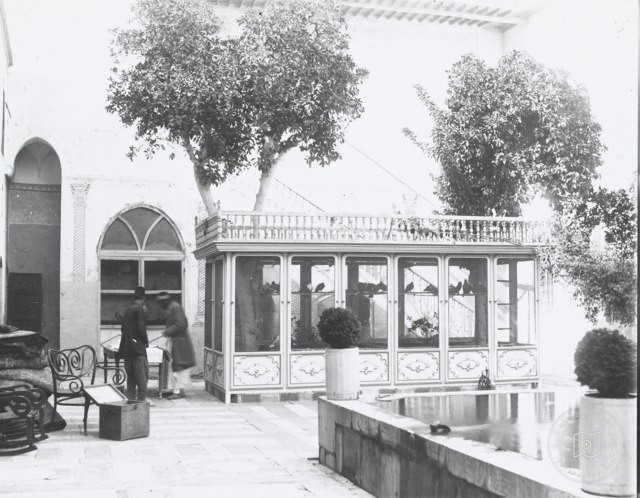 Adahane · Ali Sami Photo