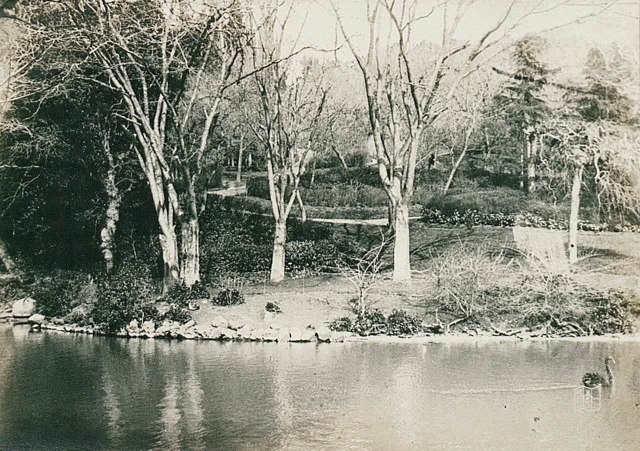 Yıldız Parkı · 1905