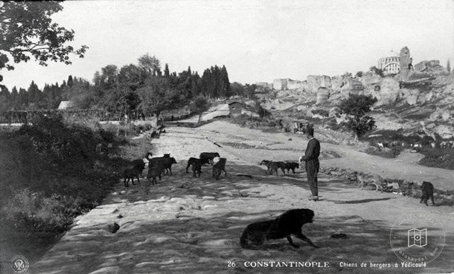 Edirnekapı