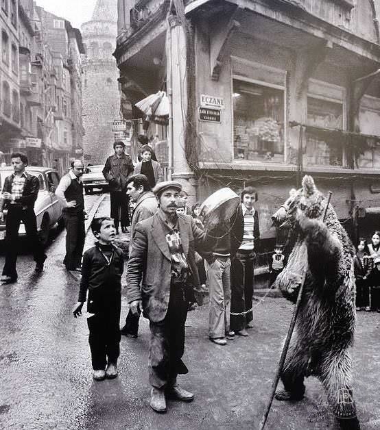 Galata'da Ayı Oynatıcısı