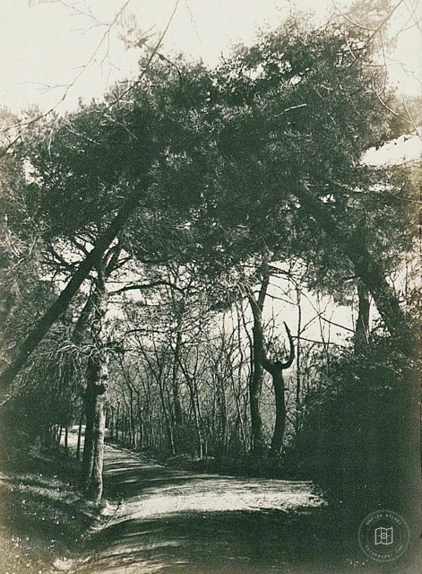 Yıldız Parkı · 1905