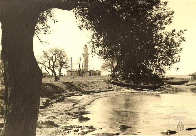 Fenerbahçe · 1947