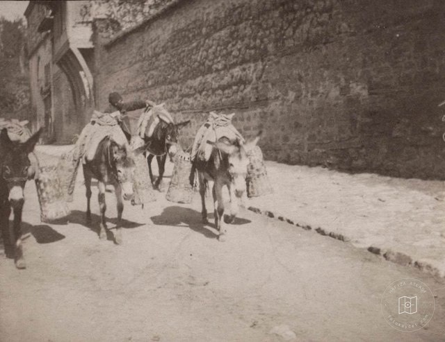1890-92 yıllarında İstanbul Sokaklarından İnsan Manzaraları