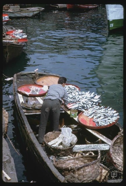 Galata Köprüsü Altında Balıkçılar · 13 Mayıs 1965