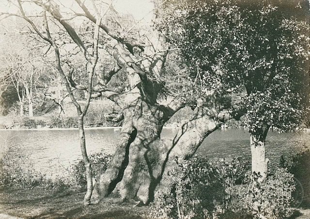Yıldız Parkı · 1905