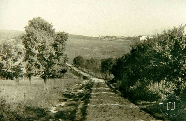 Güngören