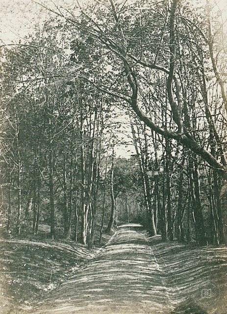 Yıldız Parkı · 1905