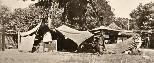 Tents sheltering survivors of the 1894 earthquake