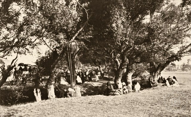 Women and men enjoying the Veliefendi recreation grounds