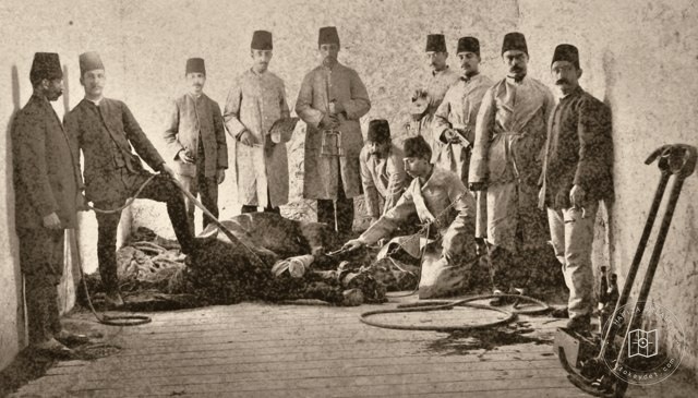 Practical veterinary lesson at Halkalı Agricultural School
