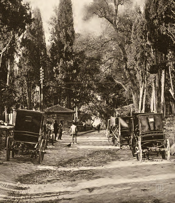 Horse-drawn carriages at Karacaahmet Cemetery