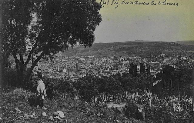 Fes — Zeytin ağaçları arasından genel görünüm