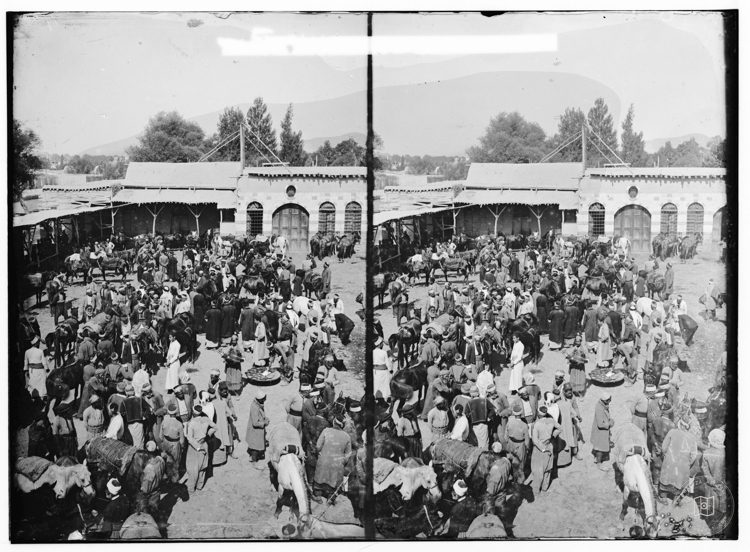 Damascus (Esh-Sham). The horse market