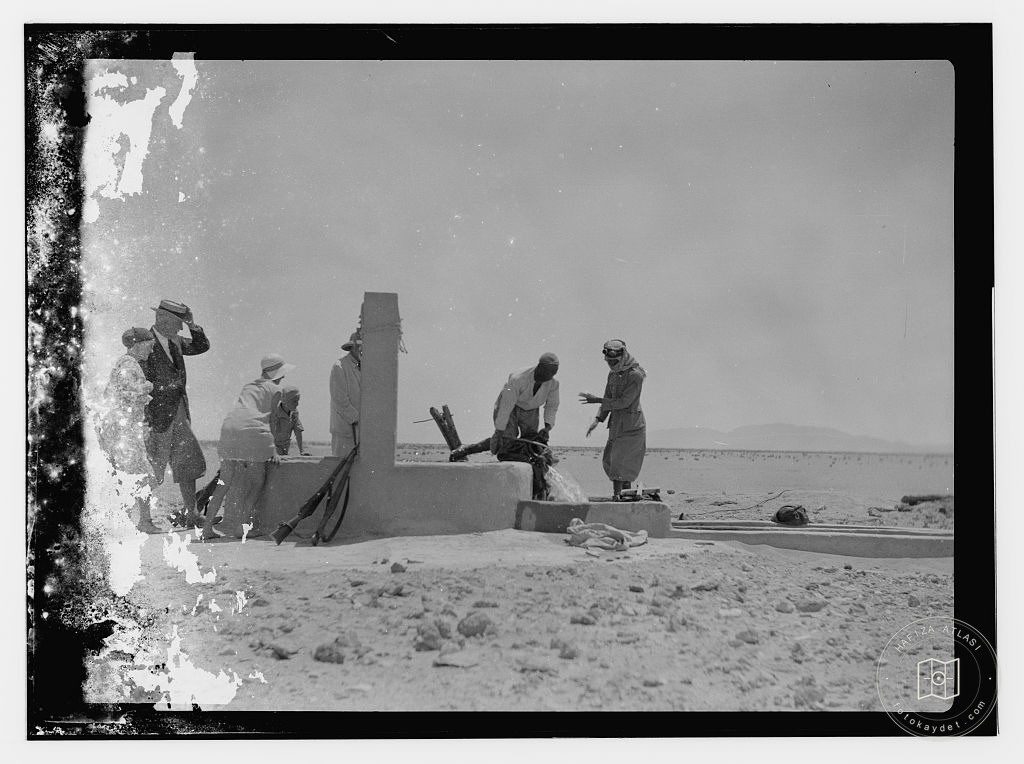 Palmyra