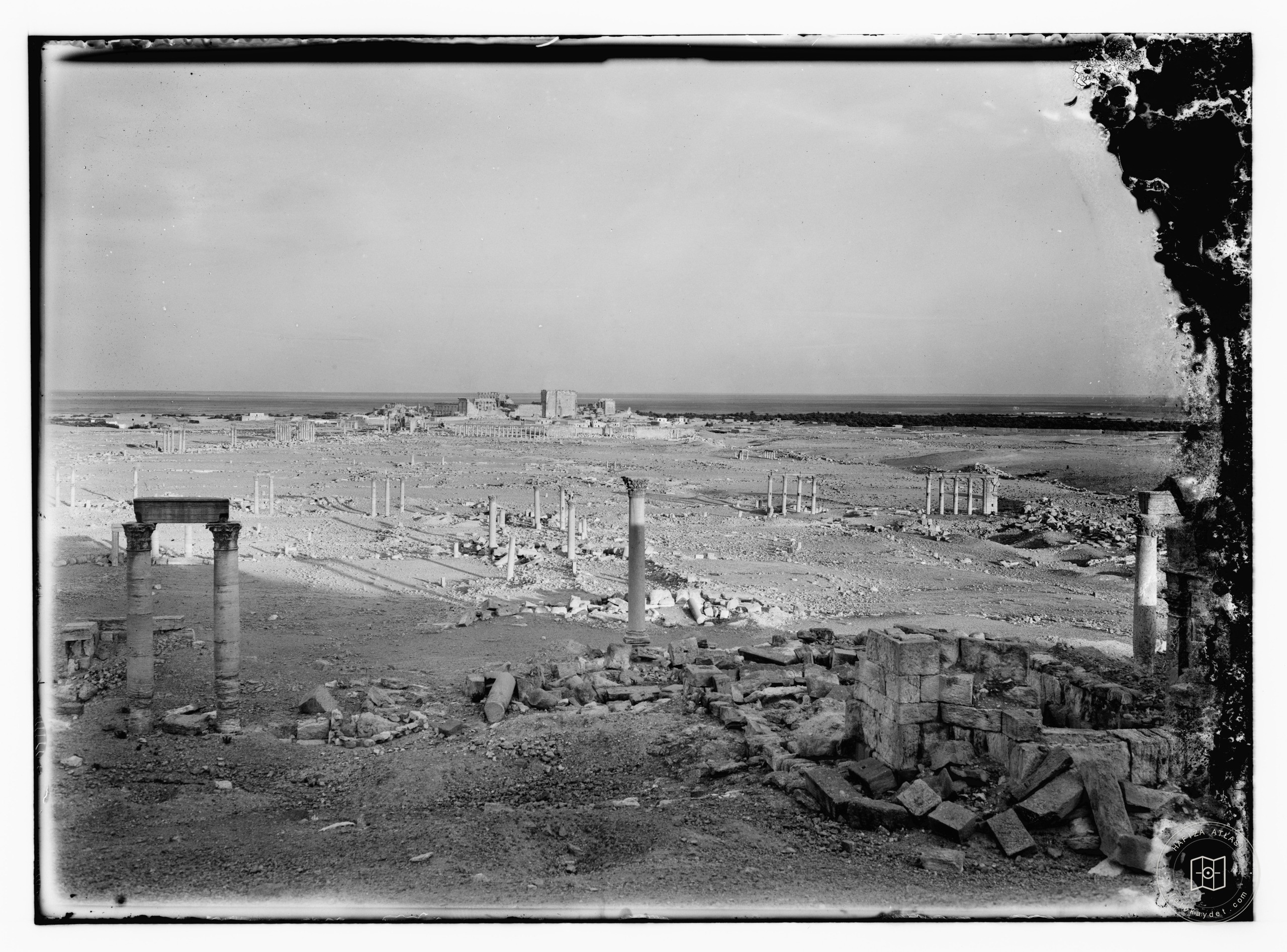 Palmira