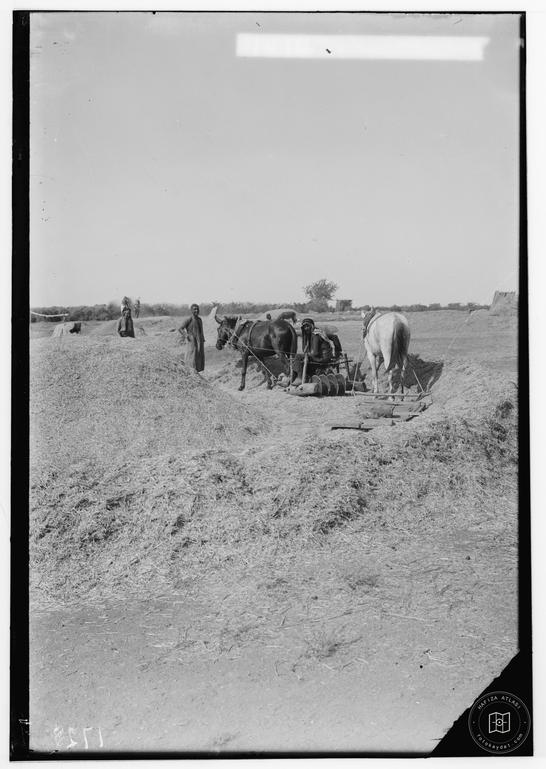 Characters and industries, etc. Threshing instrument with disks at Homs