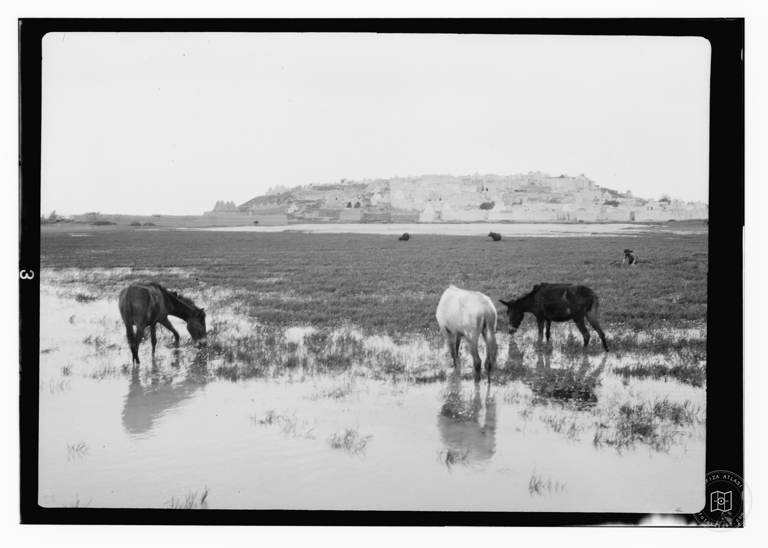 Palmyra, May 1929