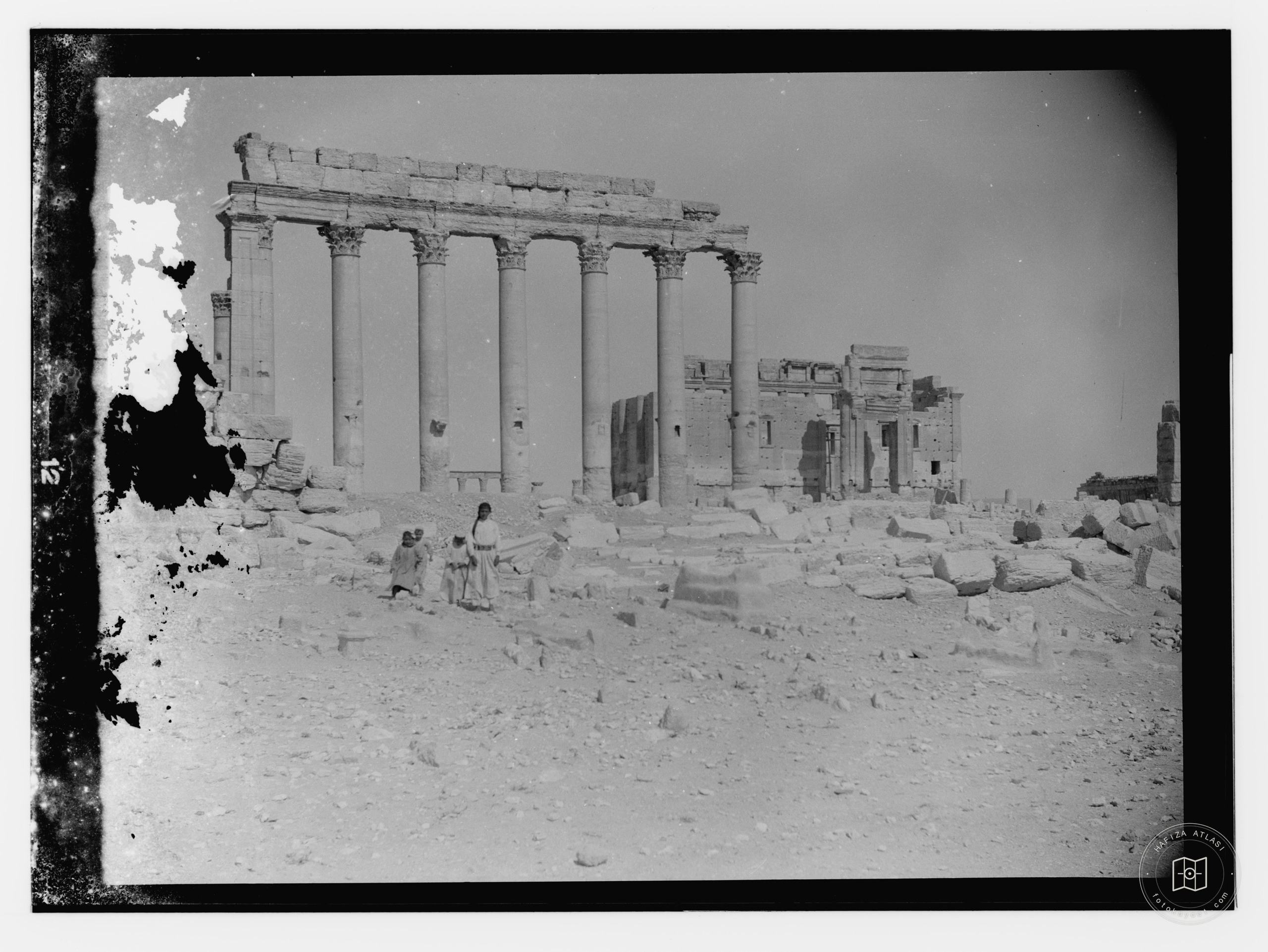 Palmyra