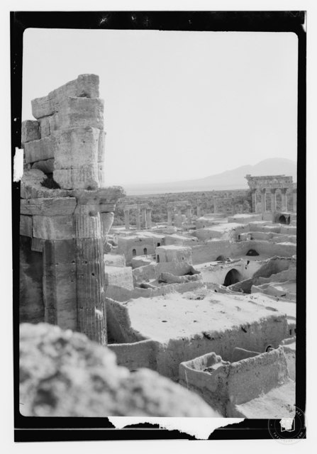 Palmira, Mayıs 1929