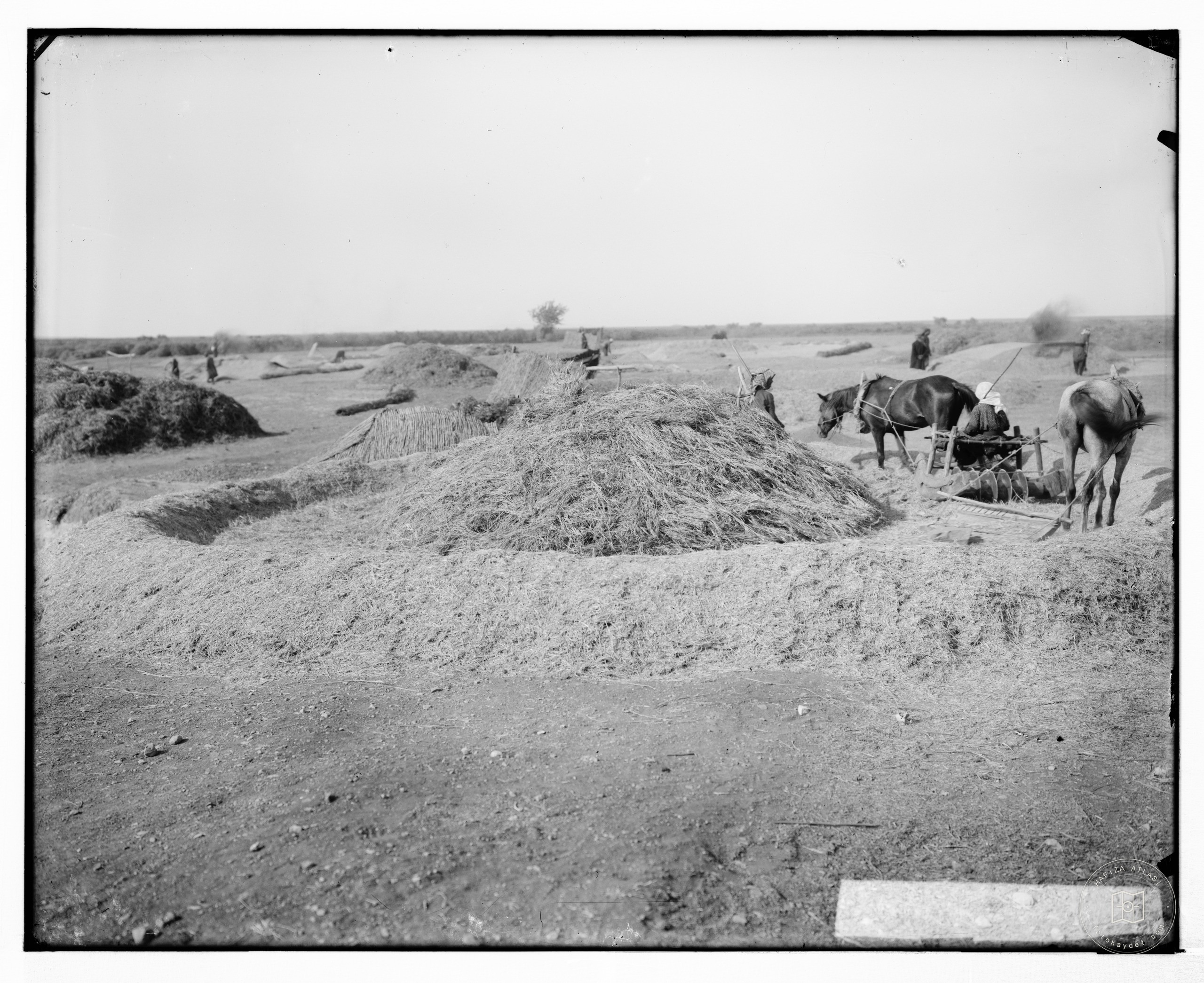 Threshing floor in Syria
