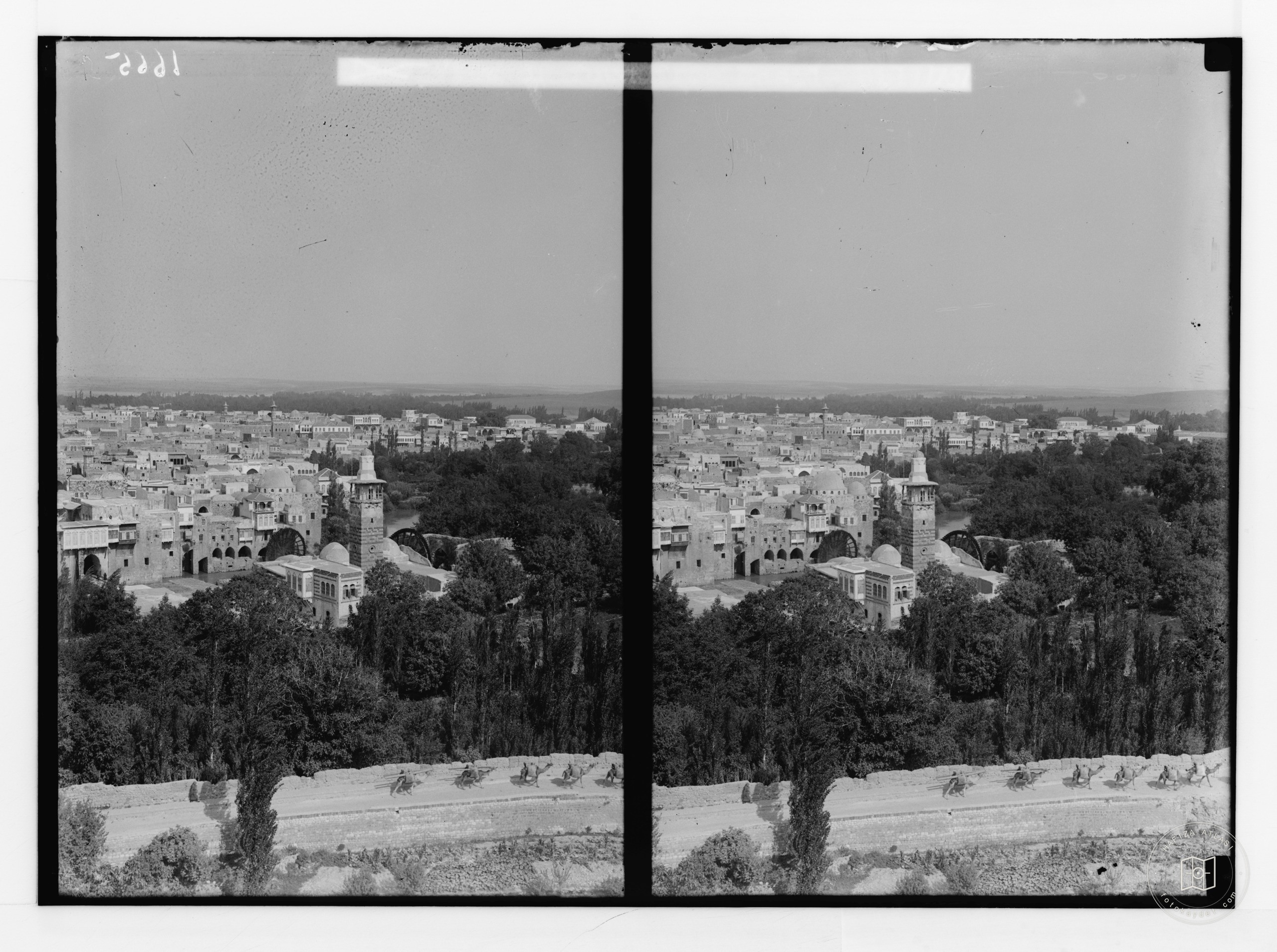 Hama (Hamath). View of Hama from castle hill