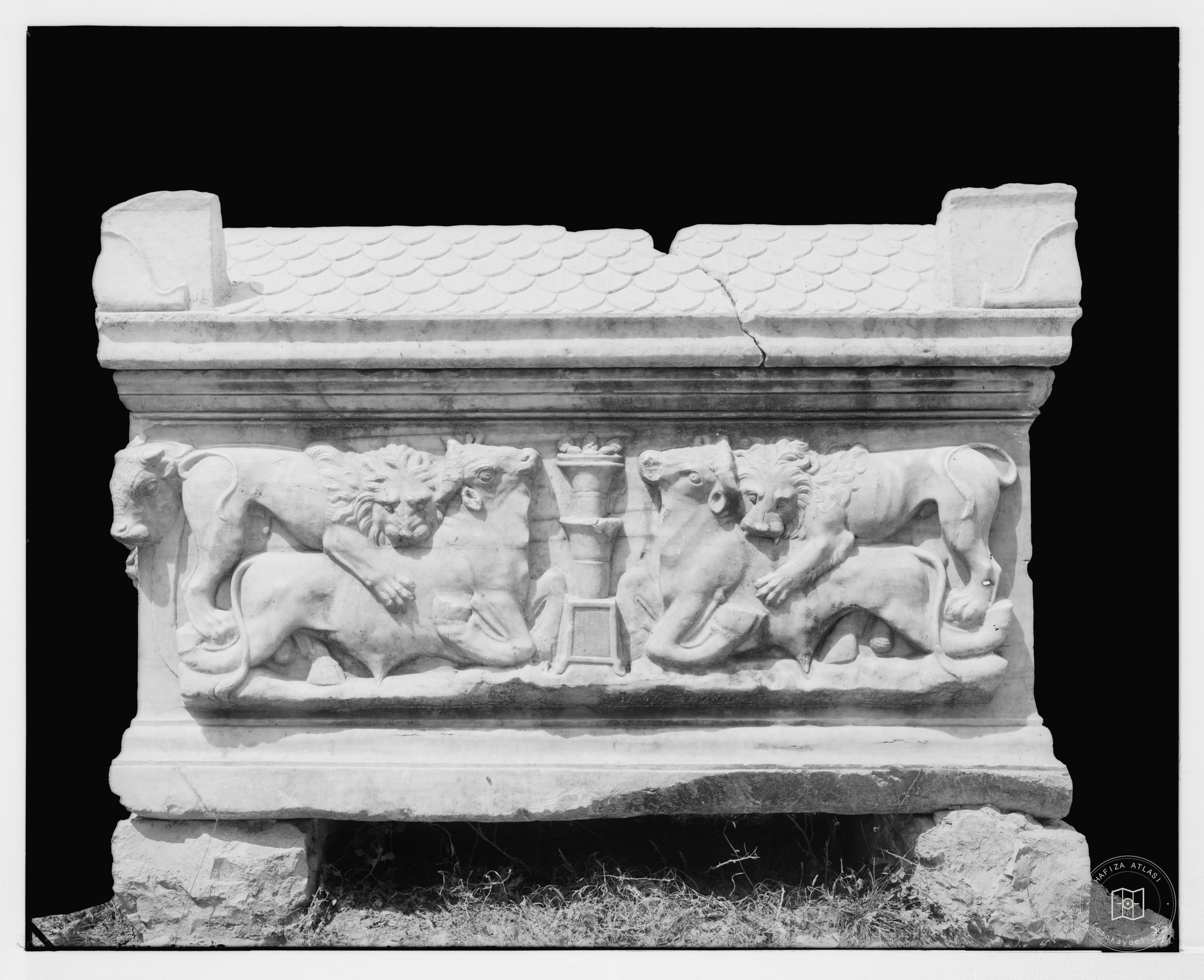 Sarcophagus, Serai, Syria. Side view