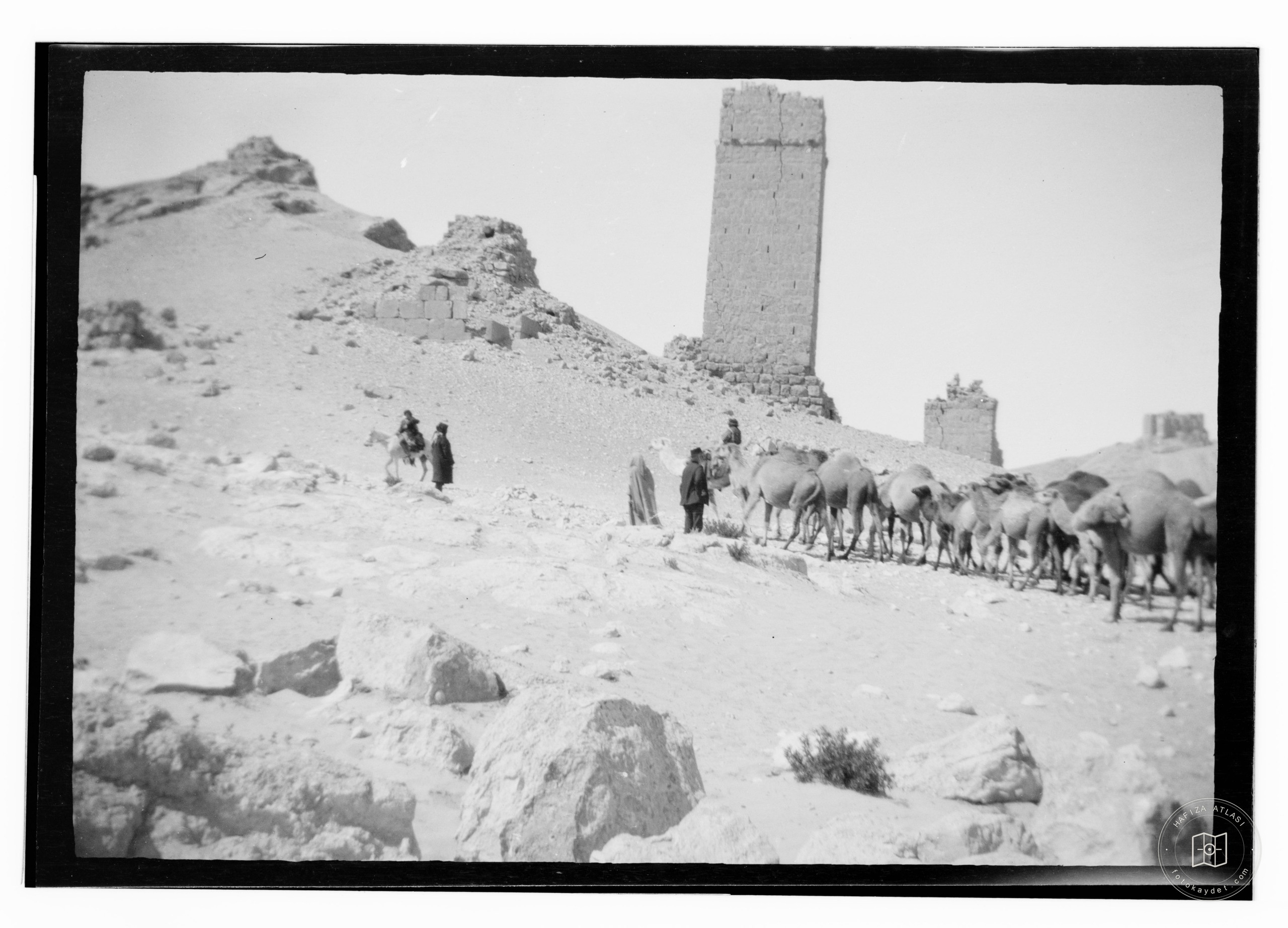 Camels in front of tower tombs, Palmyra?