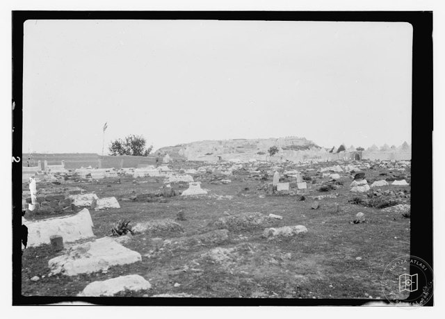 Palmira, Mayıs 1929