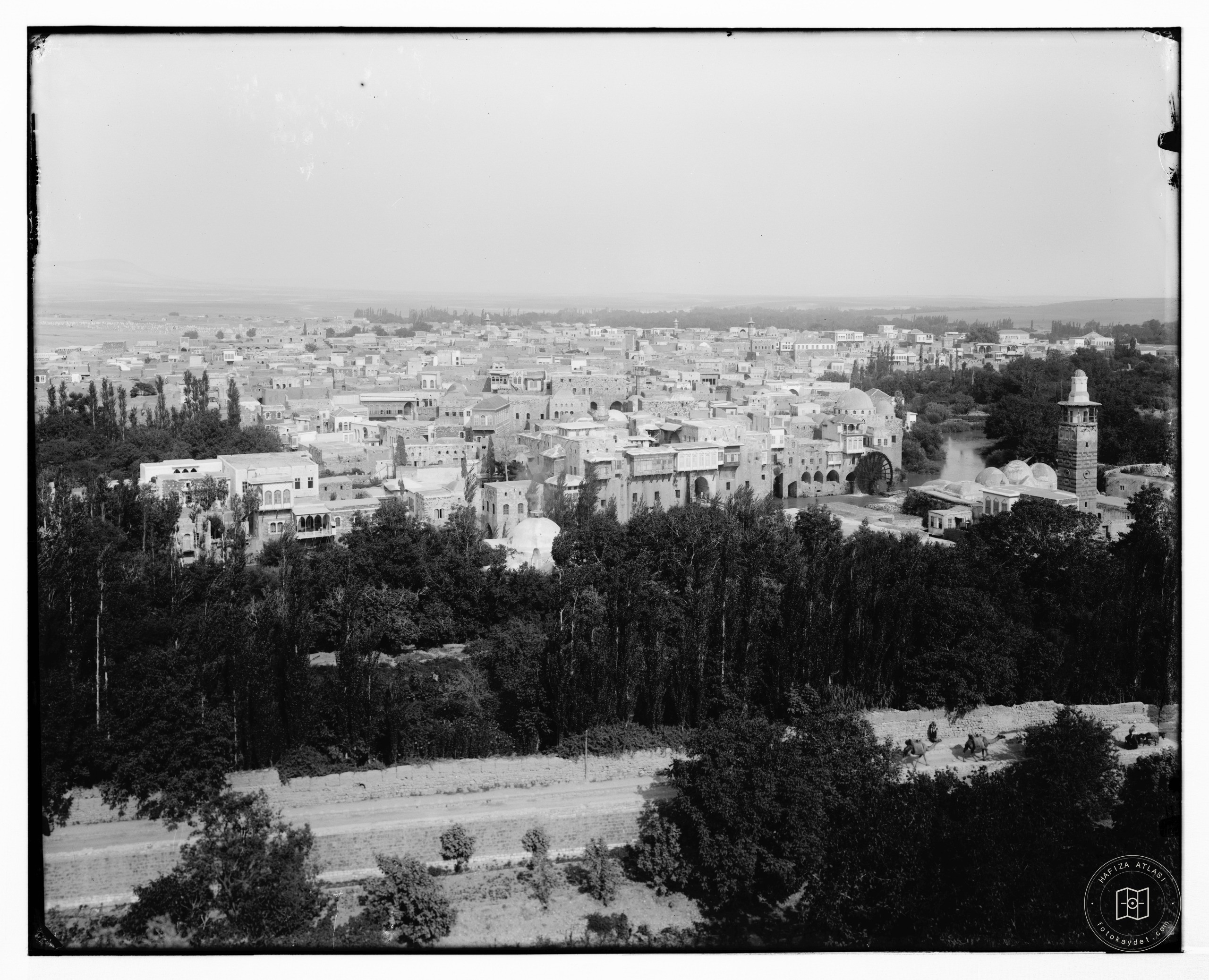 Hama