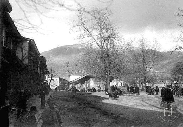 Delvina, Arnavutluk / 1917