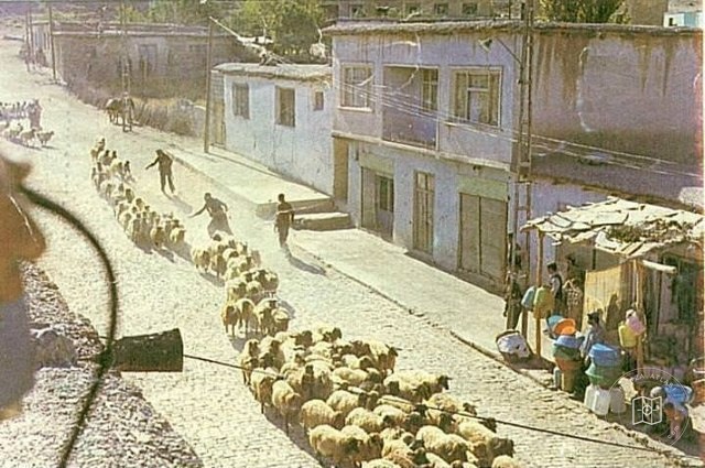 Pervari / Siirt