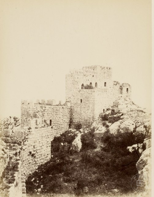 Snake Interior View, Ceyhan/1874
