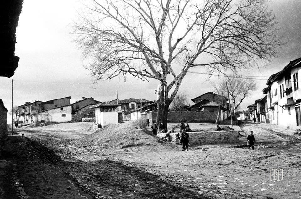 Uşak