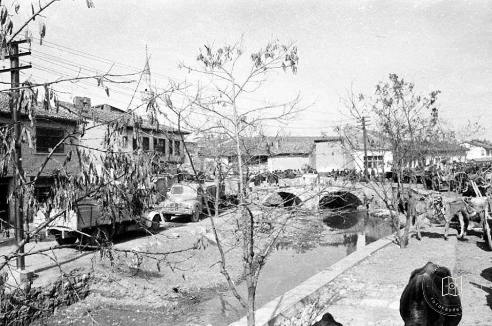 Uşak