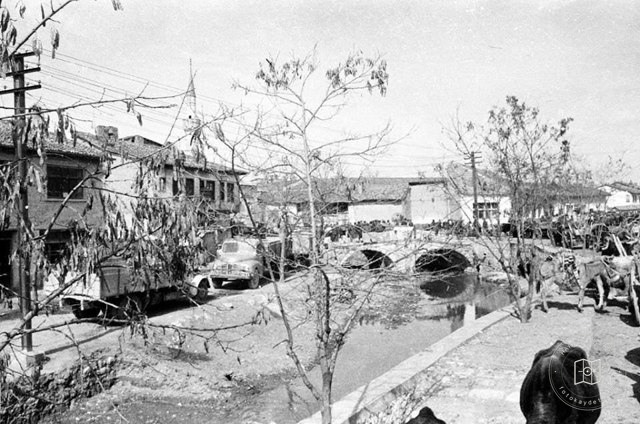Uşak