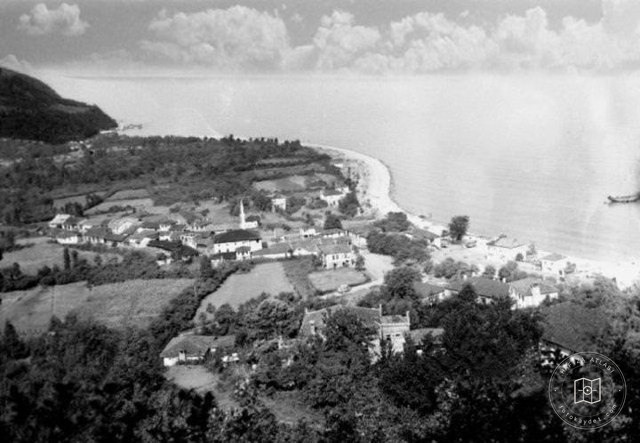 Arhavi