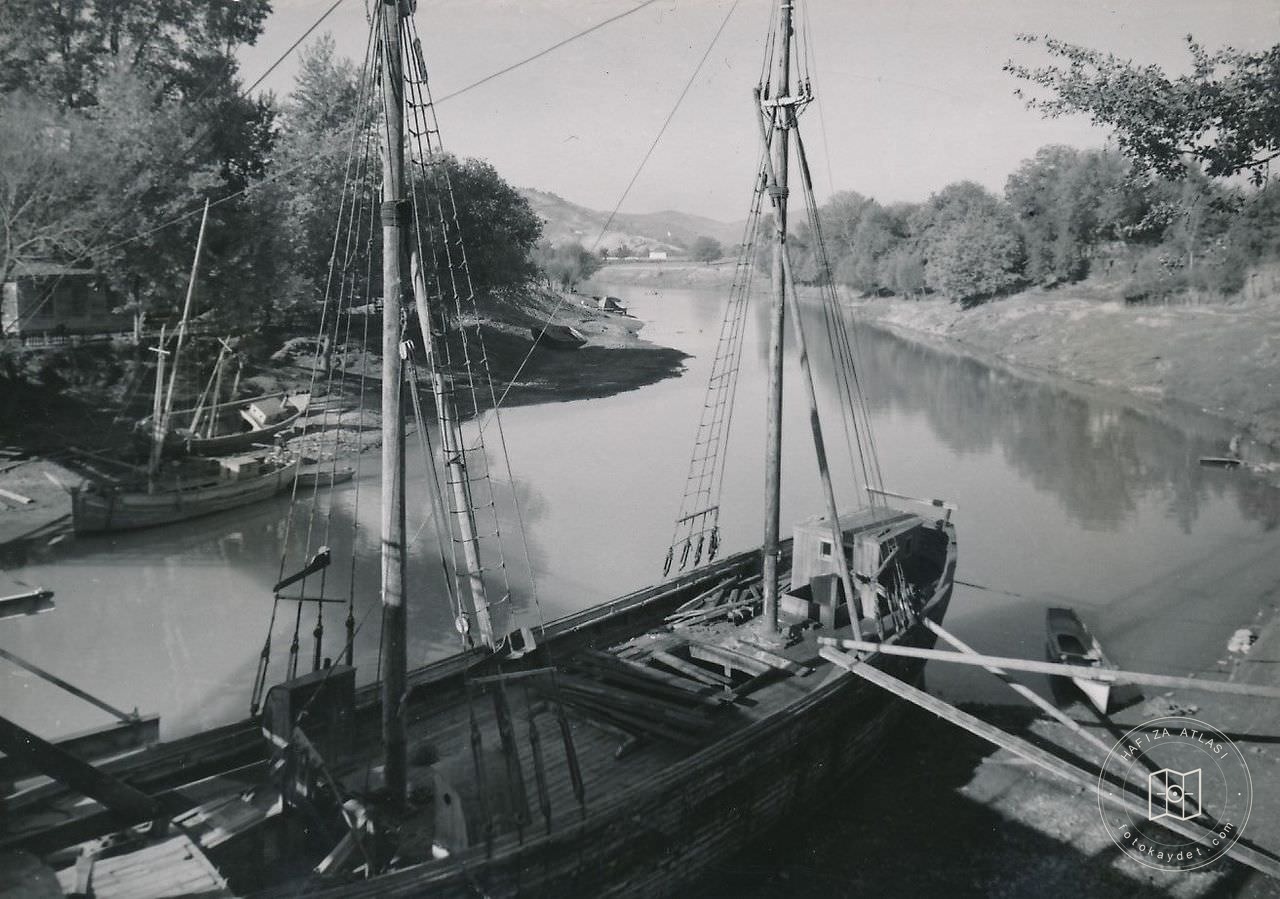 Bartın Tea / 1950s