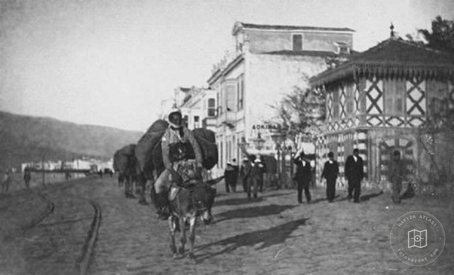 Izmir Cord