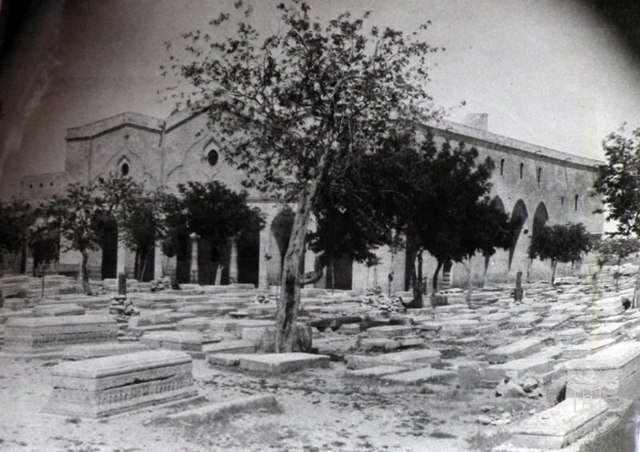 The Urfa Cathedral, Incubation and chubby (Source: Christine Gardon collection)