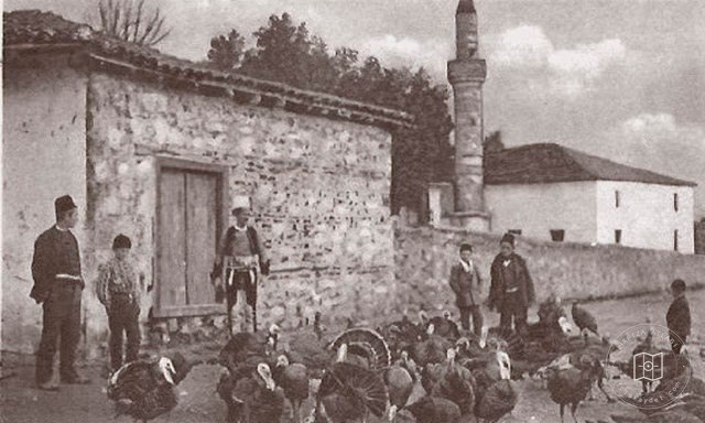Dıraç, Arnavutluk