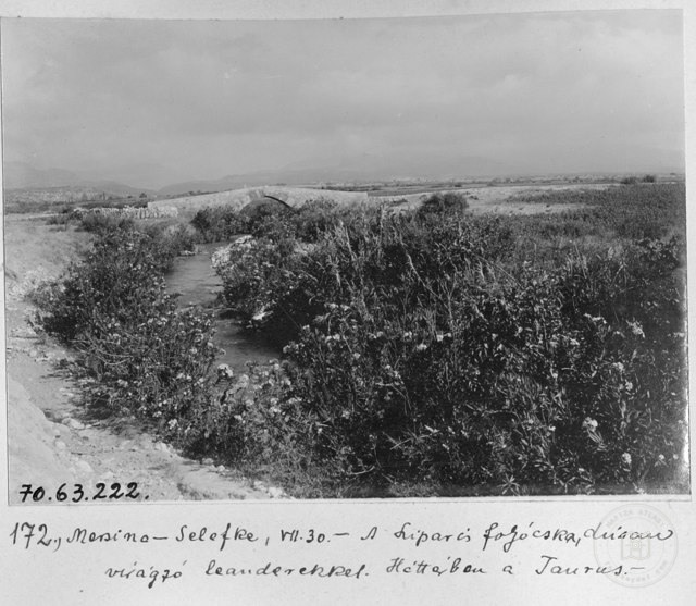 Date Mezitli Bridge / 1914