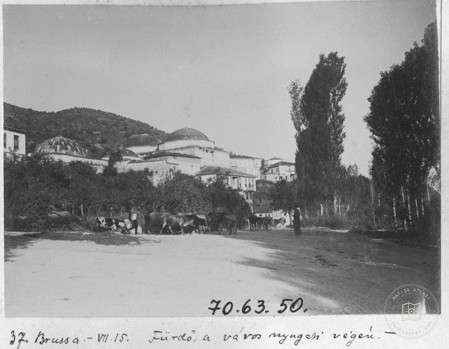 Sulphur Coateds , Bursa / 1914