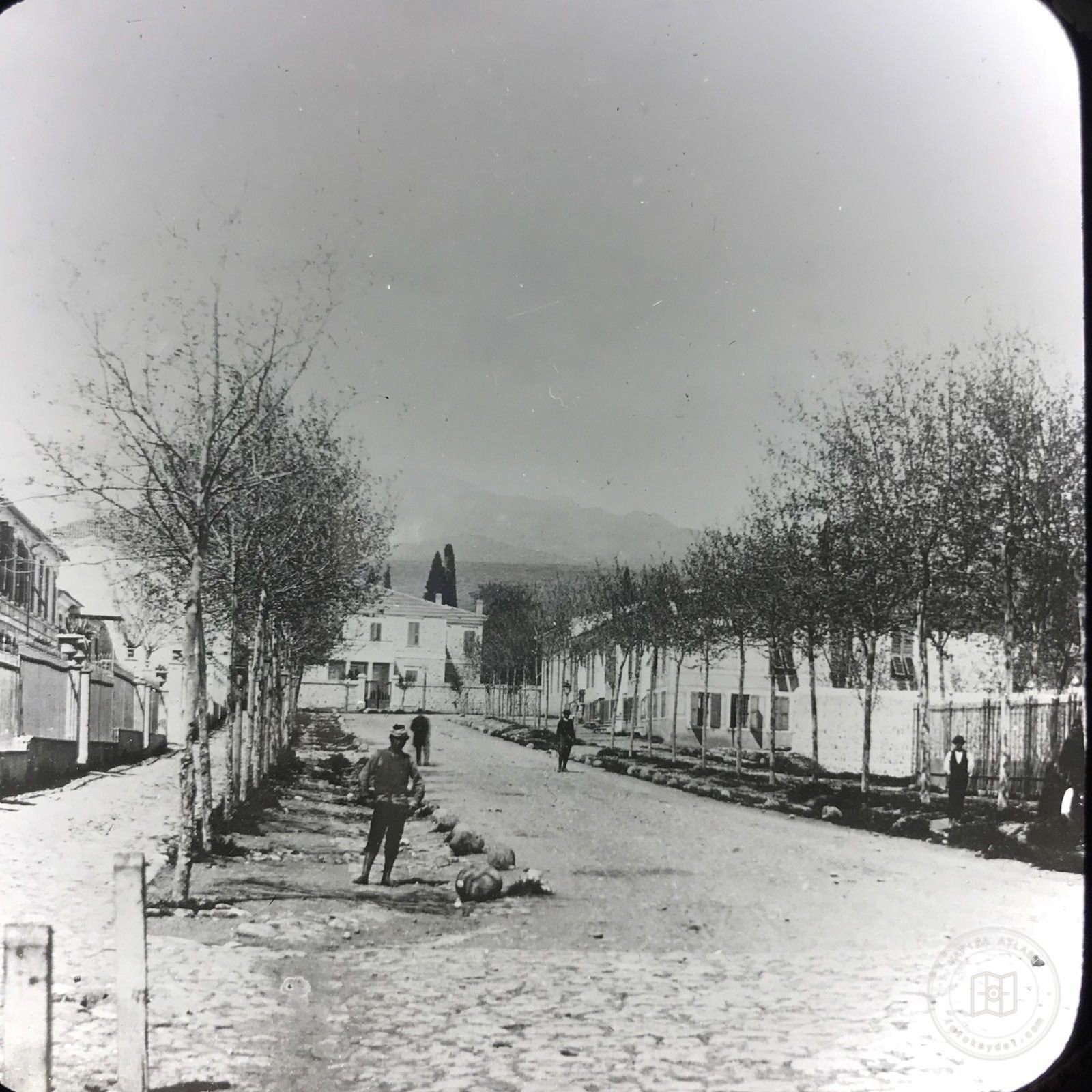 Bornova/Izmir