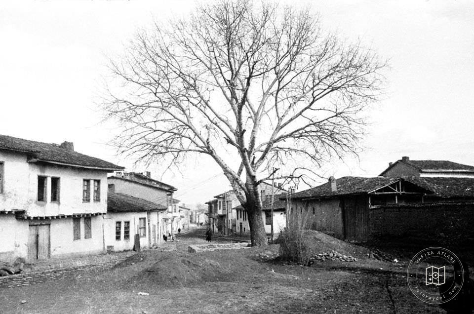 Uşak