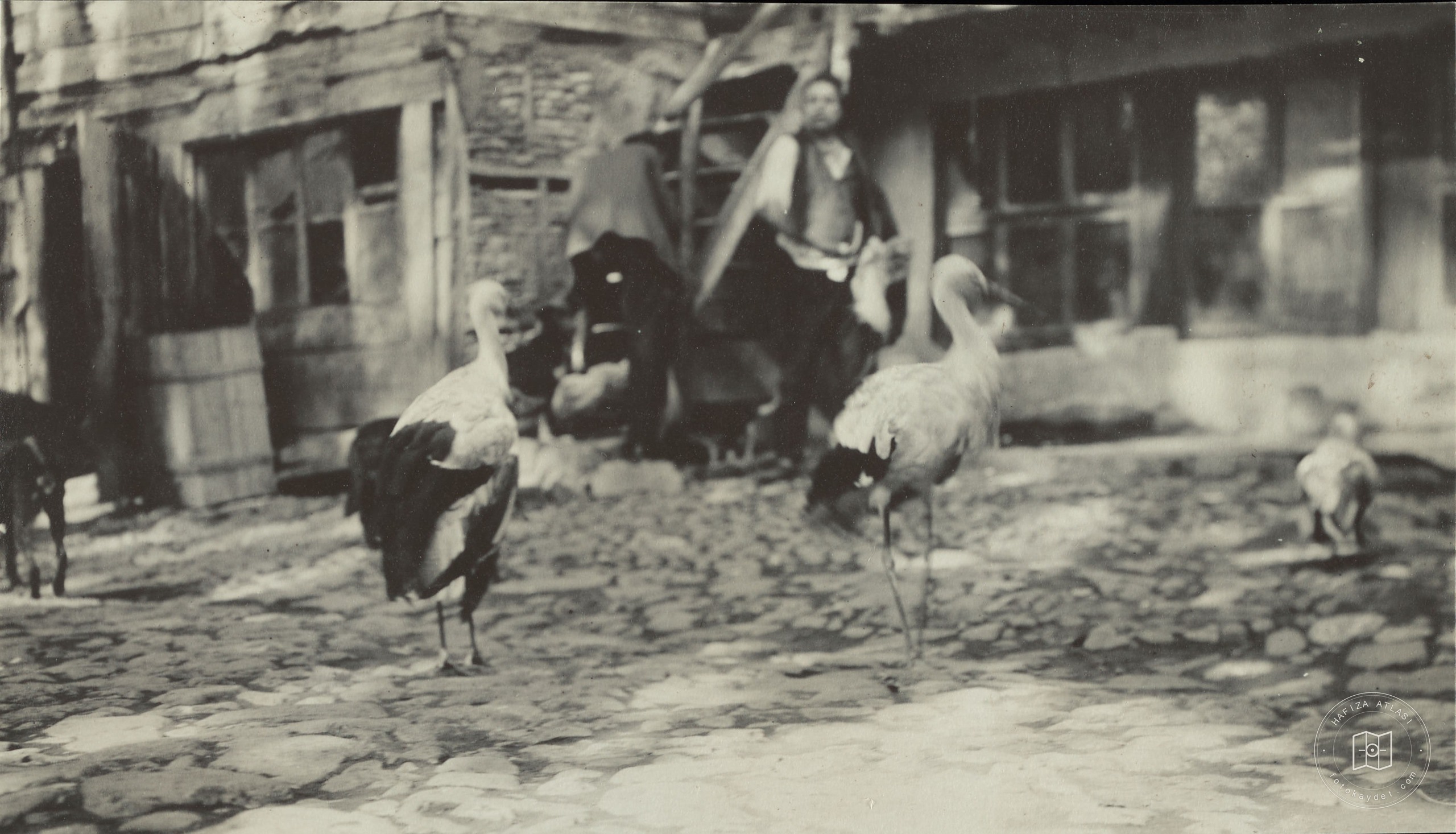 Leylek Hastanesi'nin Sakinleri, Bursa / 1900 Civarı