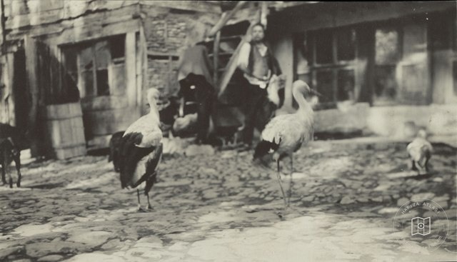 Residents of Leylek Hospital, Bursa / 1900 Civar